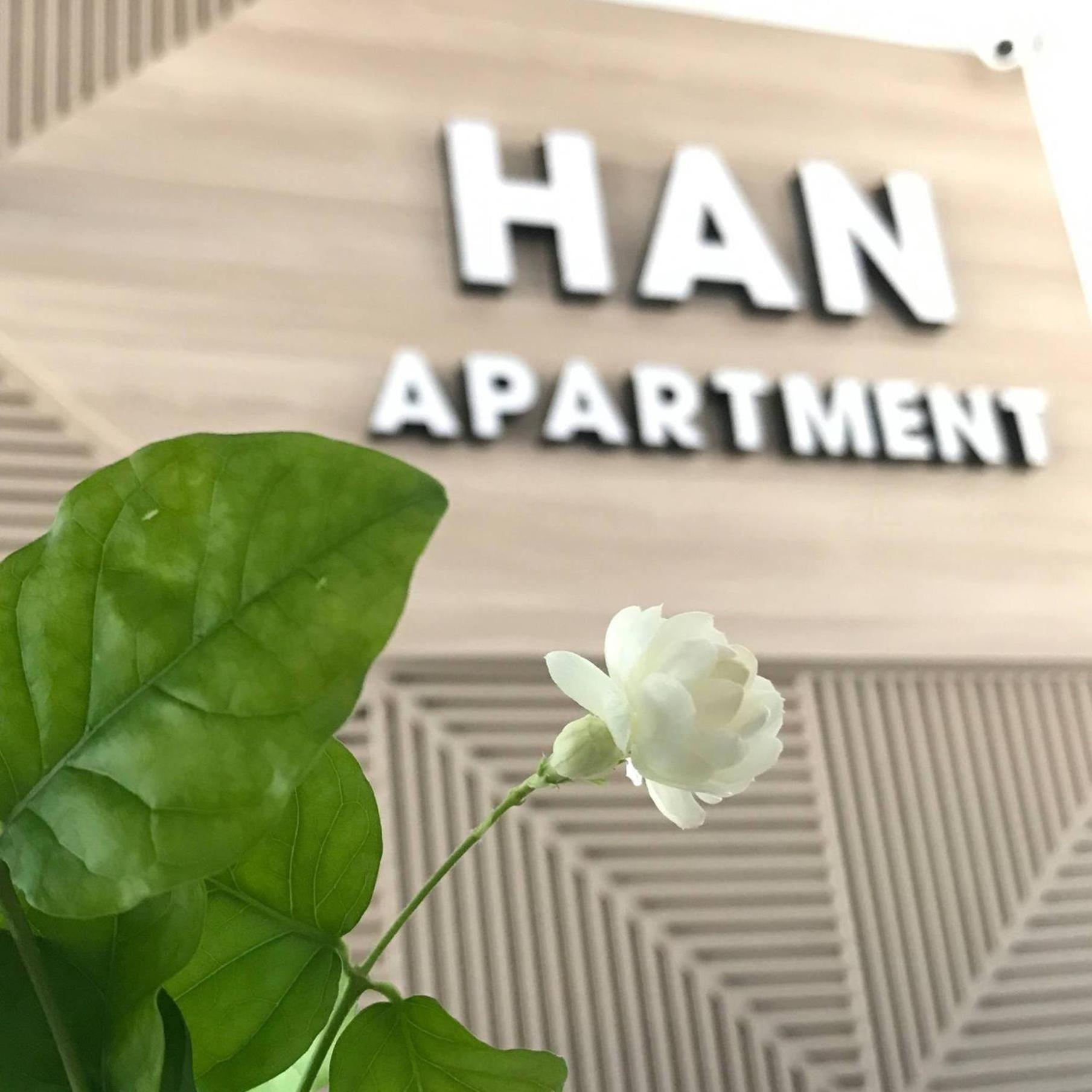 Han Apartment Da Nang Dış mekan fotoğraf